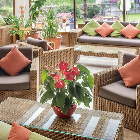 Sumus Stella And 4s Adults Recommended מלון