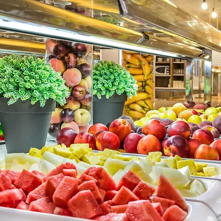 Sumus Stella And 4s Adults Recommended