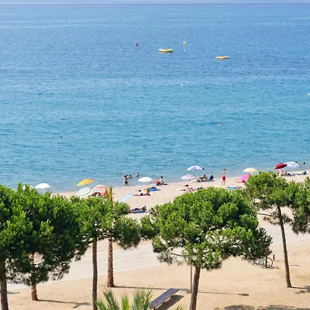 Sumus Stella And 4s Adults Recommended 4*