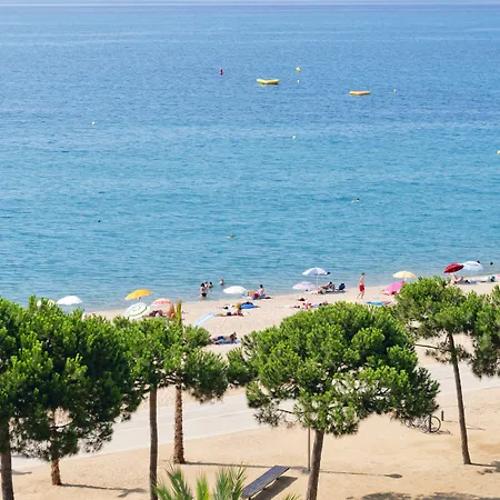 Hotel Sumus Stella And 4s Adults Recommended 4*